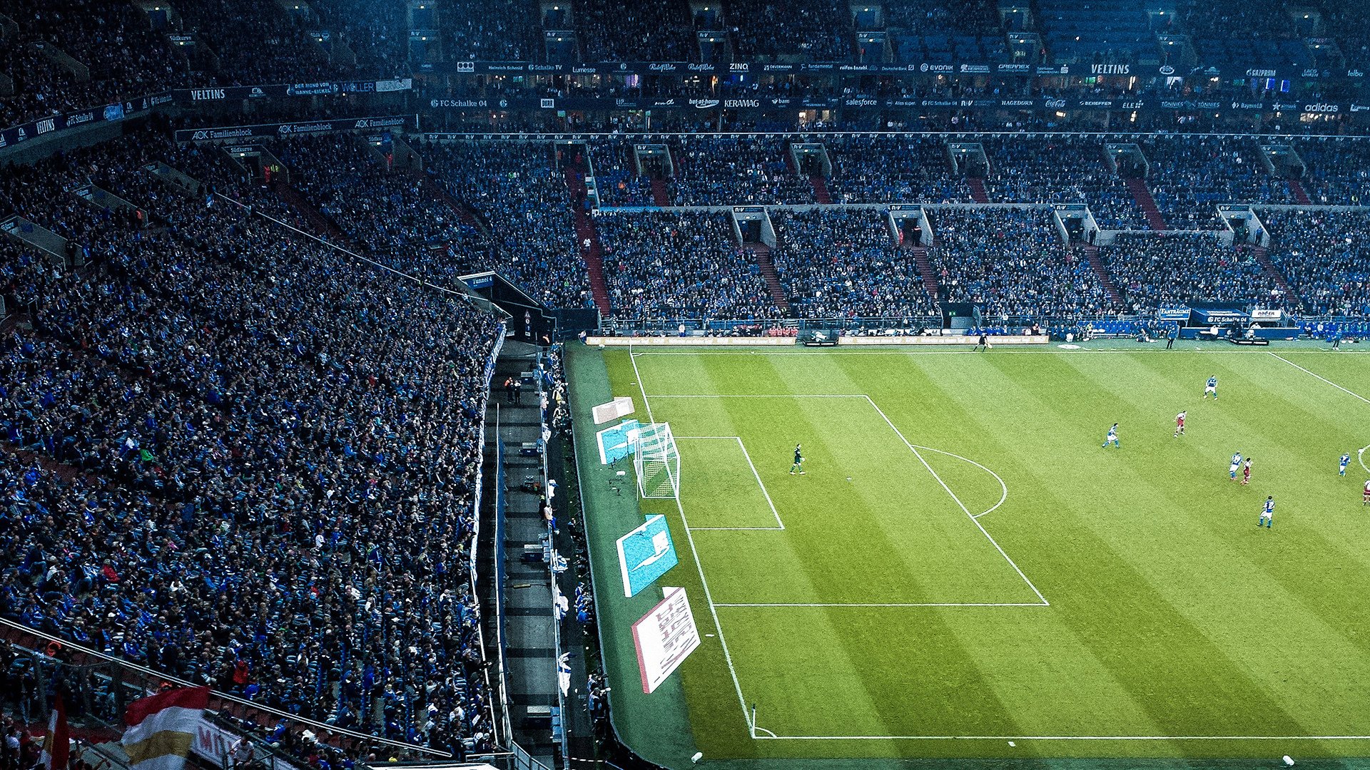 科维托娃迎来五赛季高光表现,法国队球迷沸腾!